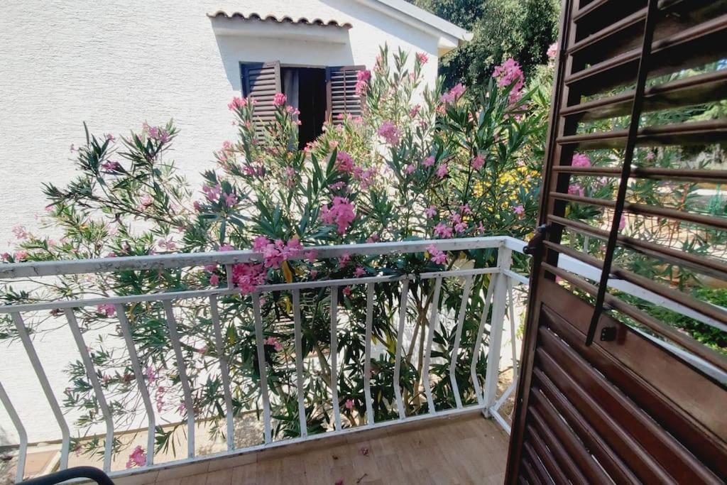 Casa Blanca, Biograd Na Moru Apartment Exterior photo